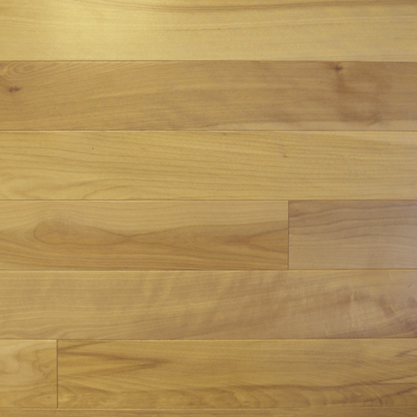 Yellow Birch